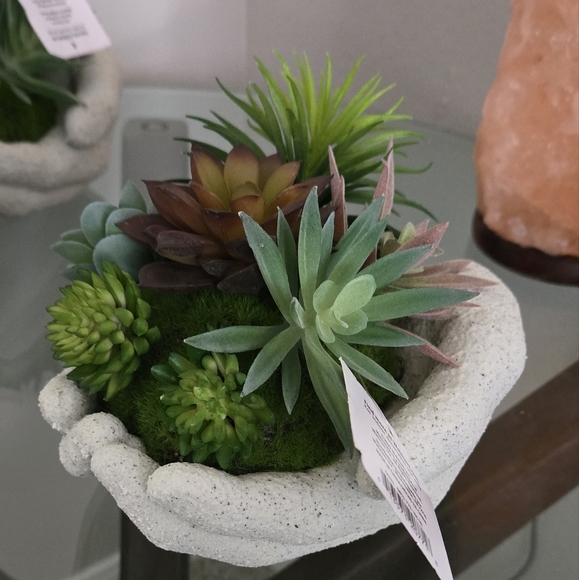 Succulents  decorations artificial - Picture 2 of 3